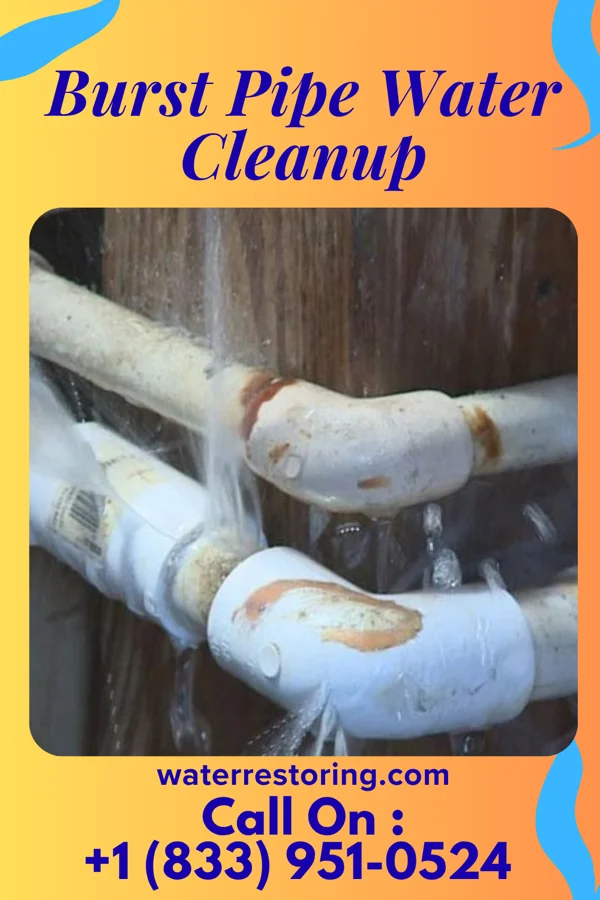 Burst Pipe Water Cleanup in Lake City, GA