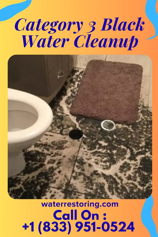 Category 3 Black Water Cleanup in Lake City, GA